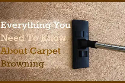 Steam cleaning tool running over carpet with words overlayed "Everything You Need to Know About Carpet Browning"