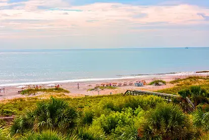 Amelia Island - About Us