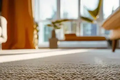 5 Reasons to Get Your Area Rug Cleaned by a Professional
