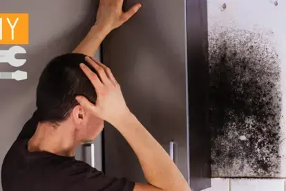 How to Do Mold Remediation Yourself