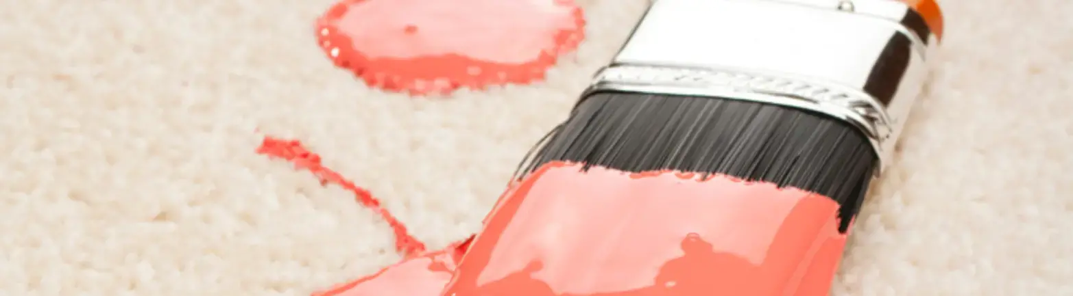 Dried paint in carpet : r/CleaningTips