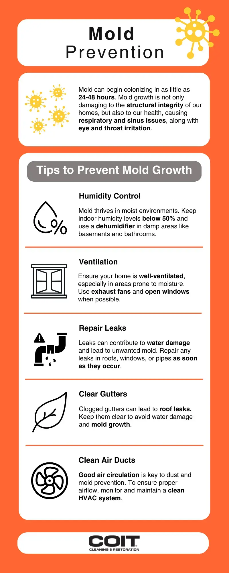 Mold Prevention Infographic