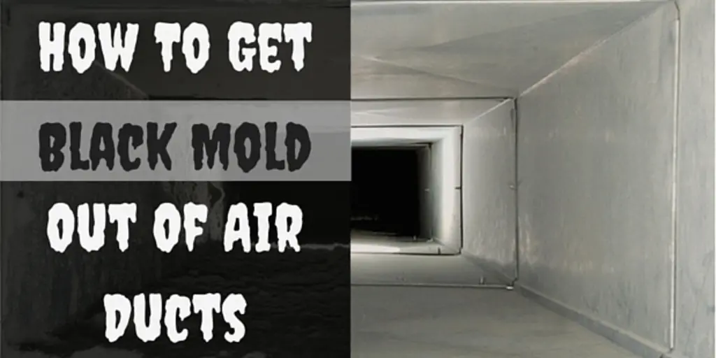 How To Get Rid Of Mold In The Ventilation System